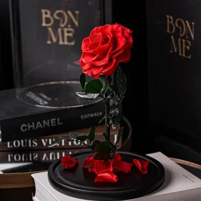 Sleeping roses – the gift that lasts forever